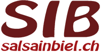sib_logo_gerade3