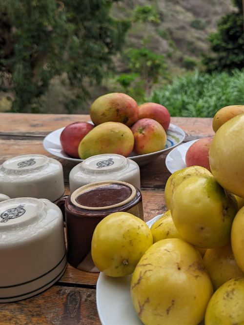 Frische Mangos und lokale Früchte auf den Kapverden