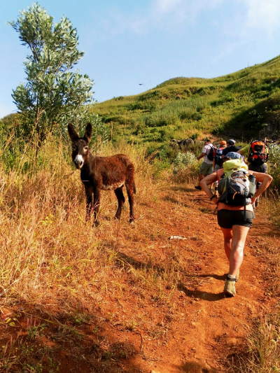 Wanderung in der Serra Malagueta auf Santiago