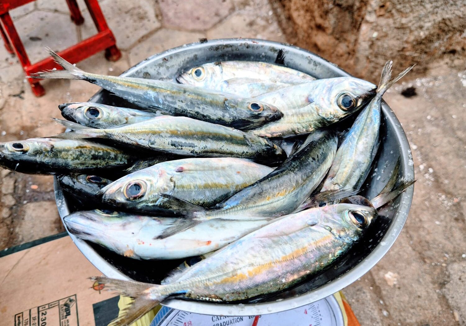Fischmarkt in Mindelo